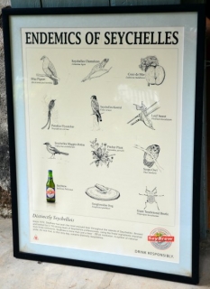 Prehľad endemitov na Seychelloch